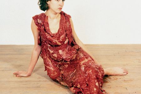 Konzeptkunst von Jana Sterbak