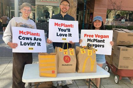 Kuh-le Aktion: PETA schließt Frieden mit McDonald’s und verschenkt den McPlant