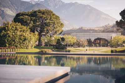 Im Angesicht der Texelgruppe kühlen sich Therme-Meran-Besucher im neuen Bio Nature Pool ab, der den 52.000 Quadratmeter großen Outdoor-Park von Südtirols Signature Spa ab sofort bereichert
