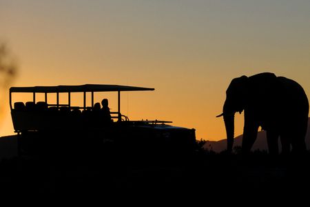 Elefanten beobachten auf Safari