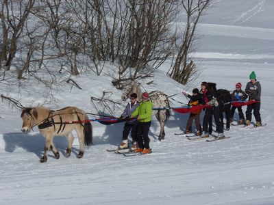 Skiurlaub in den Alpen Skiurlaub in den Alpen