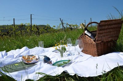 Essen und Trinken Genuss an der Suedlichen Weinstrasse Picknickkorb