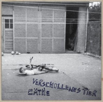 Caethe tourt ab 25. Oktober 2013 mit ihrem neuen Album Verschollenes Tier durch Deutschland