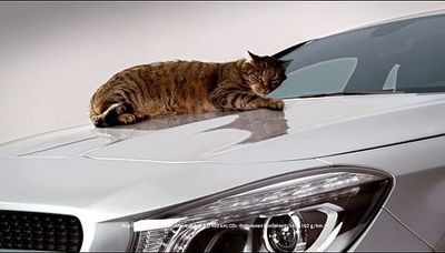 Jung von Matt setzt Katze auf Mercedes Haube Jung von Matt setzt Katze auf Mercedes Haube