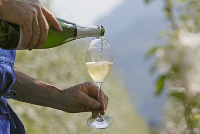 Apfelsekt