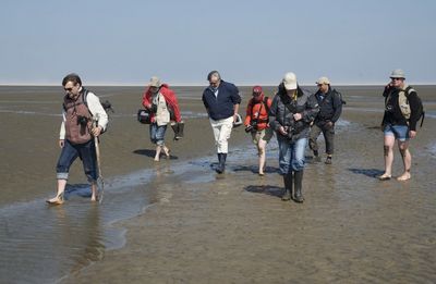 Wattenmeer Erkundung