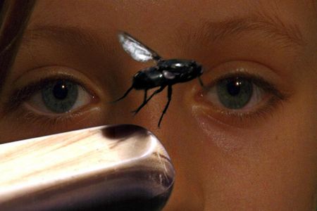 "Die Grenzen der Zeit" - mit dem "Oscar des Naturfilms" ausgezeichnete Dokumentation