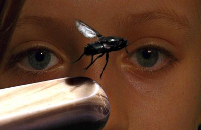 "Die Grenzen der Zeit" - mit dem "Oscar des Naturfilms" ausgezeichnete Dokumentation