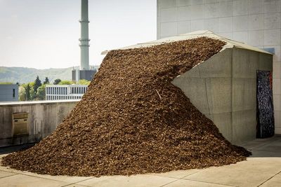kunsthalle bonn