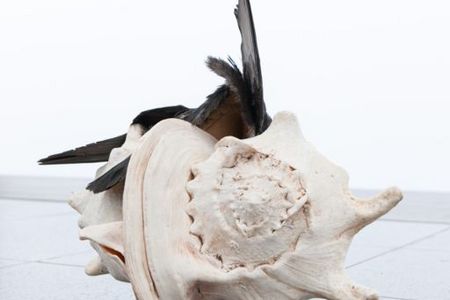 michael smith