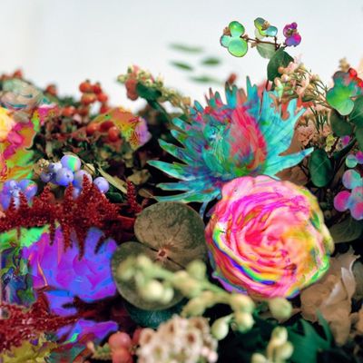 Musik Electro: Darkstar haben ihre neue Single "Amplified Ease" ihres kommenden Albums "News From Nowhere" in London vorgestellt