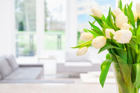 Blumen im Frühling, Sommer, Herbst und Winter