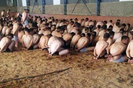 Die Soldaten werden wie Schweine behandelt