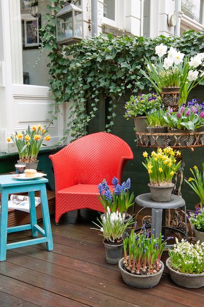 Stil Zwiebelblueher Balkon im Fruehjahr Stil Zwiebelblueher Balkon im Fruehjahr