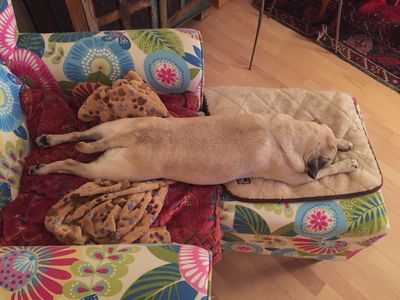 Adele macht sich grosse Sorgen