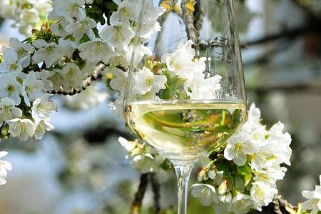 Eine wunderbare Zeit, um in Niederoesterreich auf Erkundungstour zum Wein zu gehen, ist der Fruehling