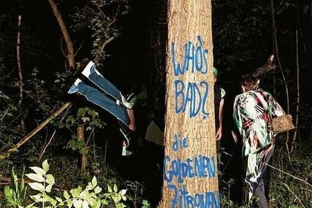 Neues Album Whos bad von den Goldenen Zitronen