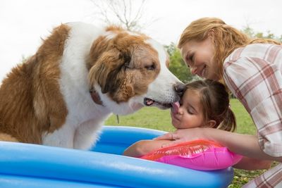Was für ein tierisch gutes Leben denkt sich der Hund Bailey