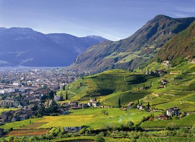 Kultur- und Weinherbst im Niederoesterreichischen Traisental. Kultur- und Weinherbst im Niederoesterreichischen Traisental.