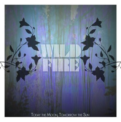 Album Wildfire der Indierock-Band Today the Moon, Tomorrow the Sun 2013 in Deutschland erhaeltlich