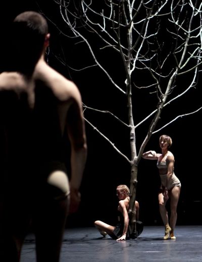 theater mainz