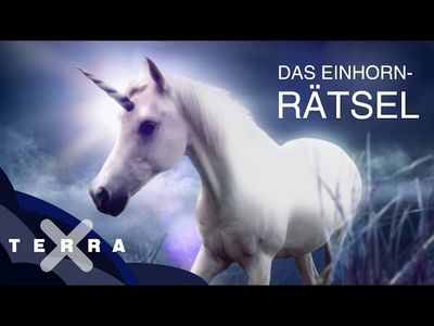 EIN FILMPROGRAMM VON 1895 BIS HEUTE