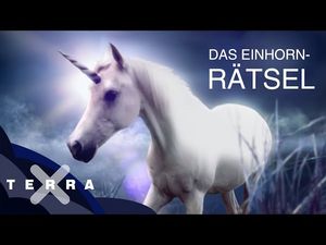 EIN FILMPROGRAMM VON 1895 BIS HEUTE EIN FILMPROGRAMM VON 1895 BIS HEUTE
