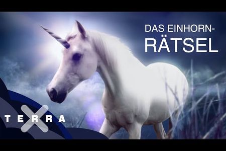 EIN FILMPROGRAMM VON 1895 BIS HEUTE