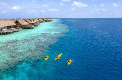 Rund um das Waldorf Astoria Maldives Ithaafushi gibt es beim Schnorcheln, Stand-up-Paddeln oder Kajakfahren einiges zu entdecken