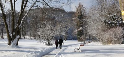 Winterlandschaft in der Pfalz geniessen