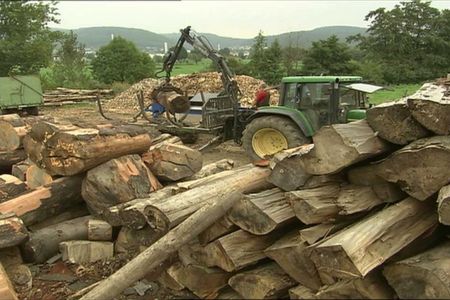 Holzpreis schießt binnen eines Jahres 409 % in die Höhe