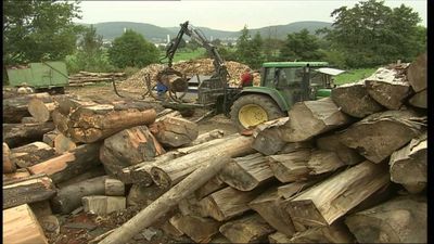 Holzpreis schießt binnen eines Jahres 409 % in die Höhe