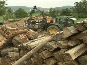 Holzpreis schießt binnen eines Jahres 409 % in die Höhe Holzpreis schießt binnen eines Jahres 409 % in die Höhe