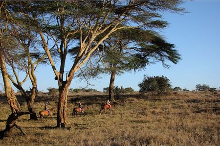 Reisen Pferdesafari Lewa Safari Camp