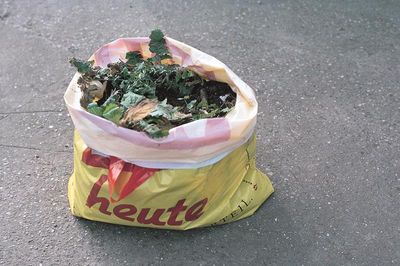 Lois Weinberger ausstellung