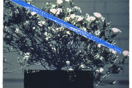 Zeichnungen und Grafik john baldessari