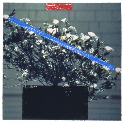 Zeichnungen und Grafik john baldessari