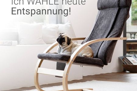 Unser Redaktions Mops Adele hat sich für keine der Parteien entscheiden können, und hat stattdessen die Entspannung mit Medisana gewaehlt