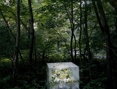 werner mahler ausstellung werner mahler ausstellung