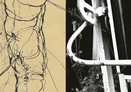 Im Gegenlicht ausstellung in der neuen galerie graz