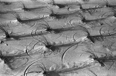 Ausstellung in Berlin: Arvid Gutschow und Alfred Ehrhardt – Artverwandte vom 12. Januar bis 17. März 2013