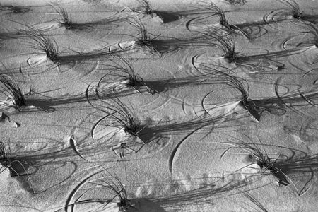 Ausstellung in Berlin: Arvid Gutschow und Alfred Ehrhardt – Artverwandte vom 12. Januar bis 17. März 2013