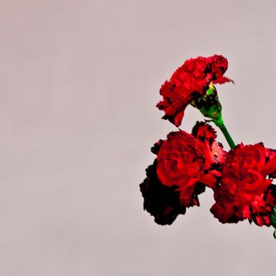 John Legend praesentiert sein viertes Studioalbum Love In The Future