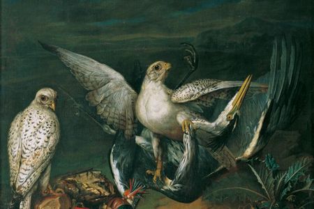Prinz Eugen von Savoyen - Die Menagerie des Prinzen ausstellung in wien