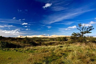 Lønstrup an der daenischen Nordseekuesteist ist weit entfernt vom Massentourismus, hier in der Stadt der Kunst laesst sich der Urlaub geniessen