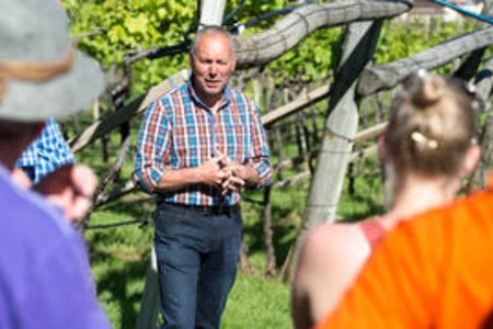 Grauvernatsch, Lagrein und Goldmuskateller sind nur einige der typischen Südtiroler Trauben, die „Roter Hahn“-Weinbauer Markus Seppi vom Oberpreyhof in Kaltern anbaut und seinen Gästen gern im Rahmen einer Führung näherbringt