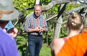 Grauvernatsch, Lagrein und Goldmuskateller sind nur einige der typischen Südtiroler Trauben, die „Roter Hahn“-Weinbauer Markus Seppi vom Oberpreyhof in Kaltern anbaut und seinen Gästen gern im Rahmen einer Führung näherbringt Grauvernatsch, Lagrein und Goldmuskateller sind nur einige der typischen Südtiroler Trauben, die „Roter Hahn“-Weinbauer Markus Seppi vom Oberpreyhof in Kaltern anbaut und seinen Gästen gern im Rahmen einer Führung näherbringt