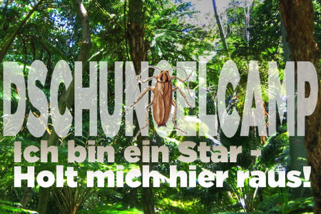 Kein TV-Oscar für RTL-Show »Ich bin ein Star - Holt mich hier raus!(c) tvspielfilm.de