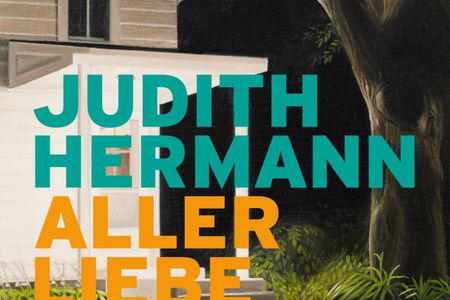 Aller Liebe Anfang von Judith Hermann