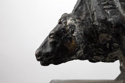 ausstellung regensburg